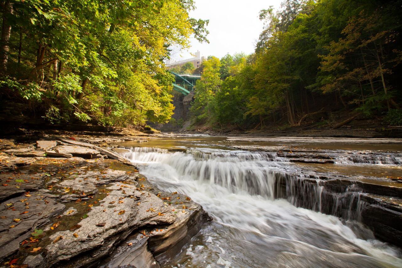  0846_11_021_select.tif Cascadilla and Fall Creek gorges in summer.
