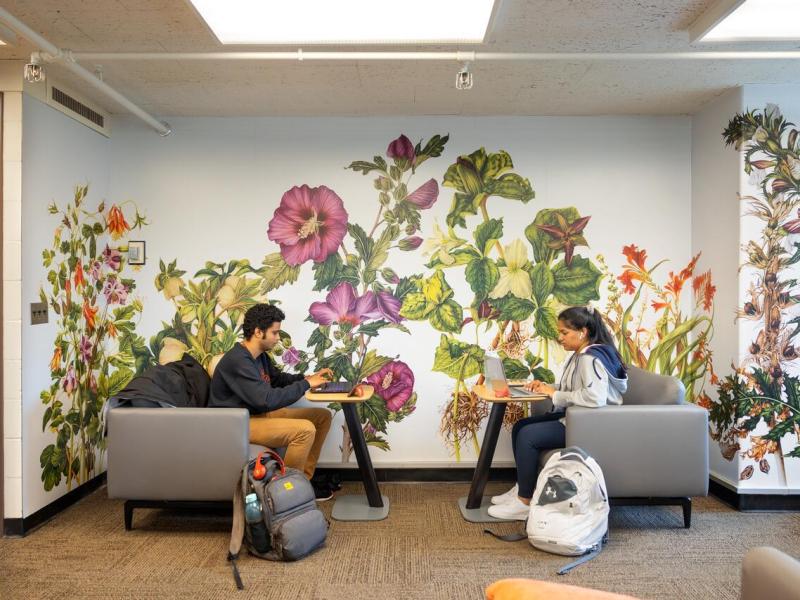 Students work in the College of Human Ecology.