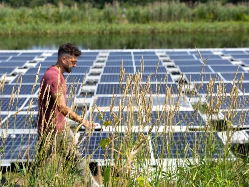 Solar panel-topped ponds under construction at the Cornell Experimental Pond Facility.